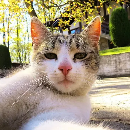 Eco Farm Milanovic *