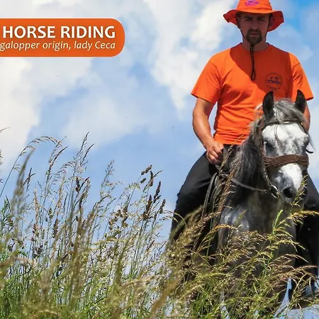 Eco Farm Milanovic Country house Despotovac