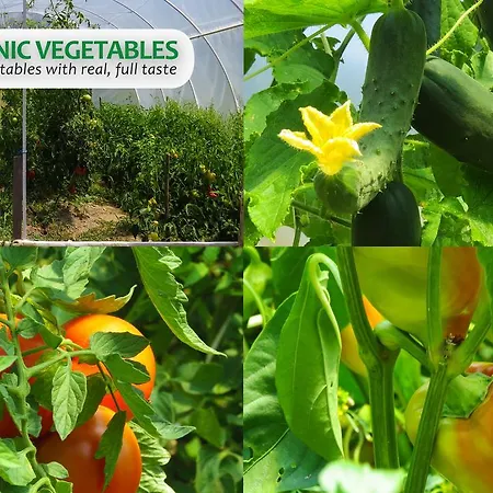 Eco Farm Milanovic * Despotovac