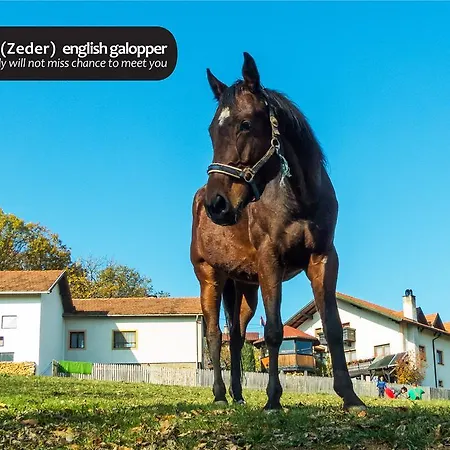 Eco Farm Milanovic *