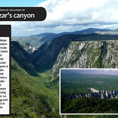 Country house Eco Farm Milanovic Despotovac