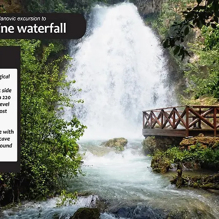 Eco Farm Milanovic * Despotovac