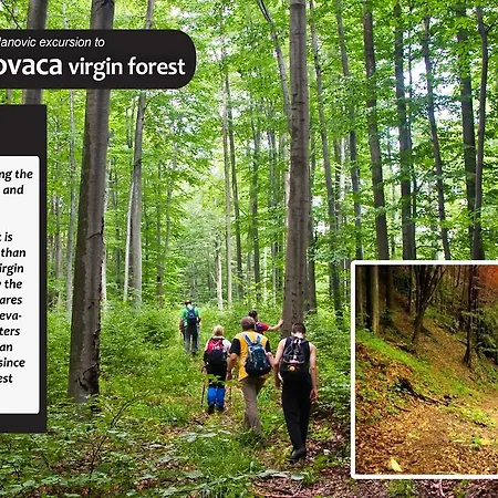 Country house Eco Farm Milanovic Despotovac