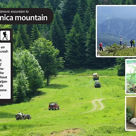 Eco Farm Milanovic * Despotovac