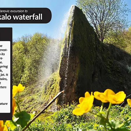 Country house Eco Farm Milanovic *