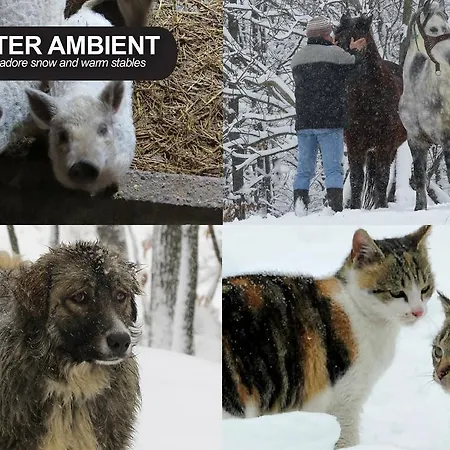 Eco Farm Milanovic *